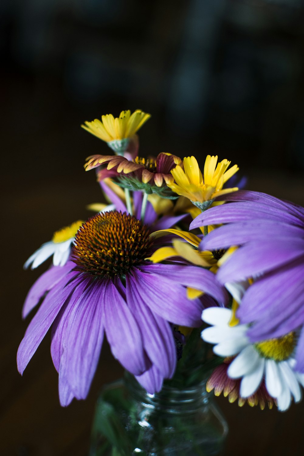 purple and yellow flower in tilt shift lens