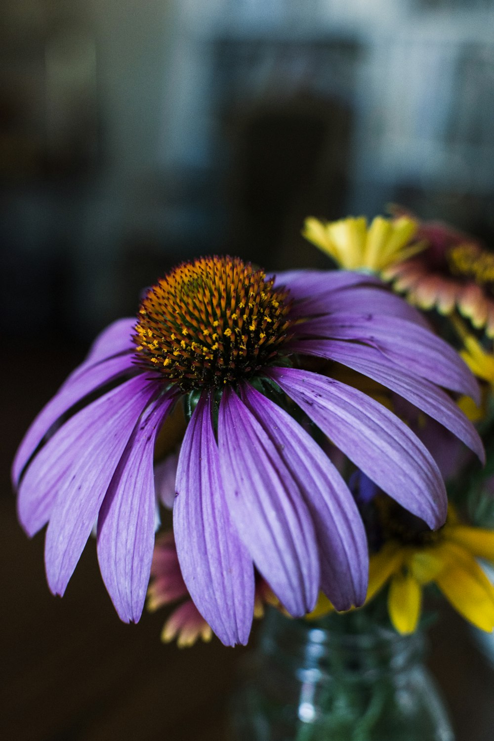 purple flower in tilt shift lens