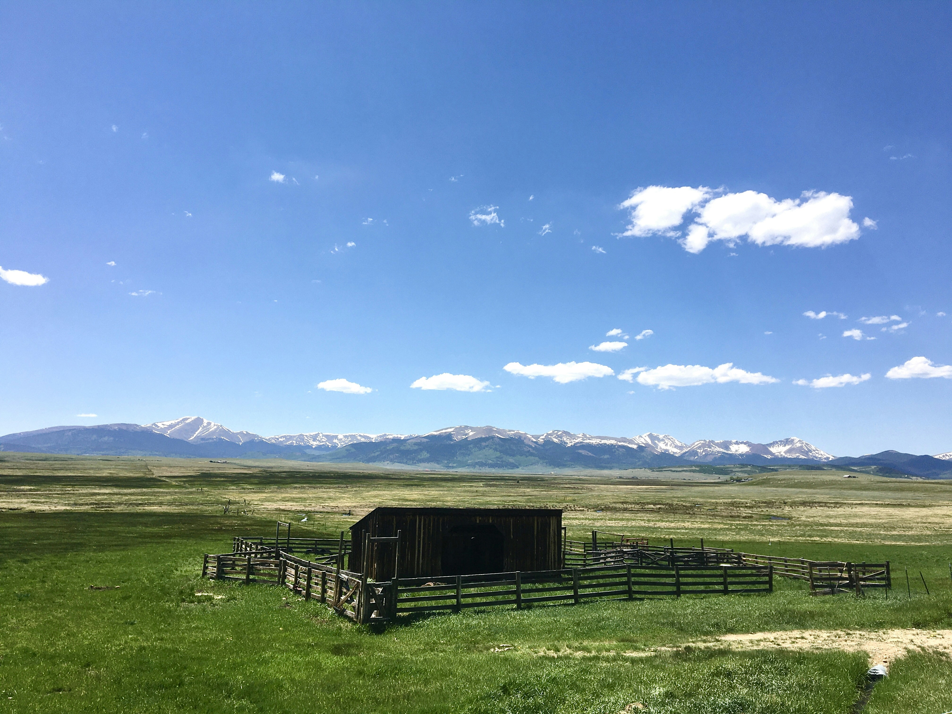 Photo by nshuman1291