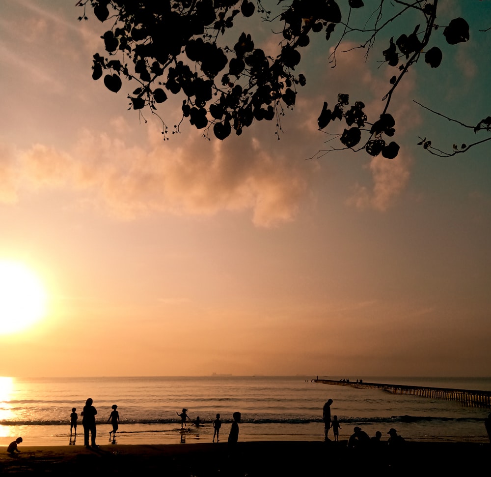 silhouette of people on beach during sunset