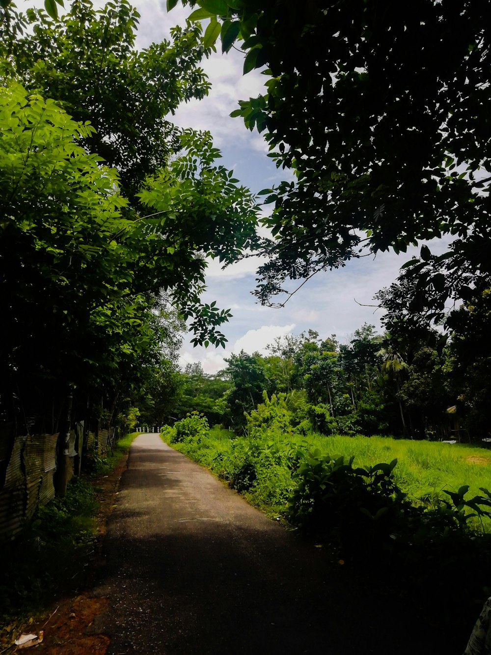 gray concrete road between green trees under white clouds and blue sky during daytime