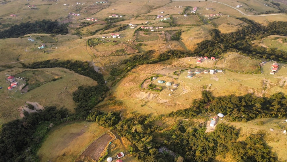 aerial view of green grass field during daytime