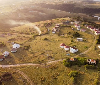 aerial view of green grass field during daytime