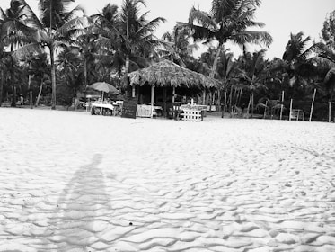 A sandy beach with visible footprints leads to a thatched hut surrounded by palm trees. In front of the hut, there are tables and chairs with umbrellas providing shade. The setting appears relaxed and tropical, offering a sense of retreat and leisure.