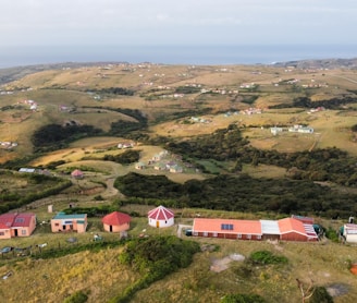 aerial view of houses on green grass field during daytime