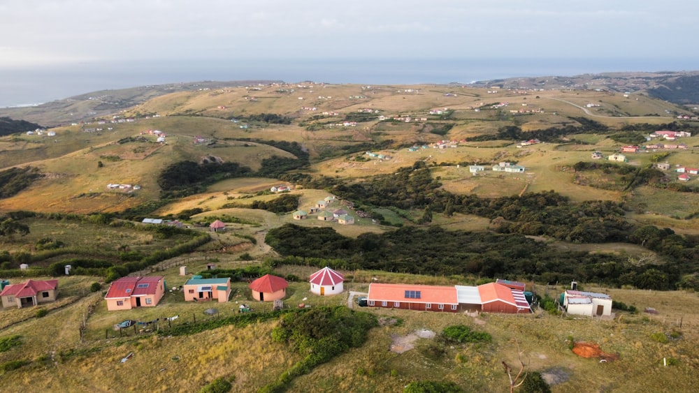 aerial view of houses on green grass field during daytime