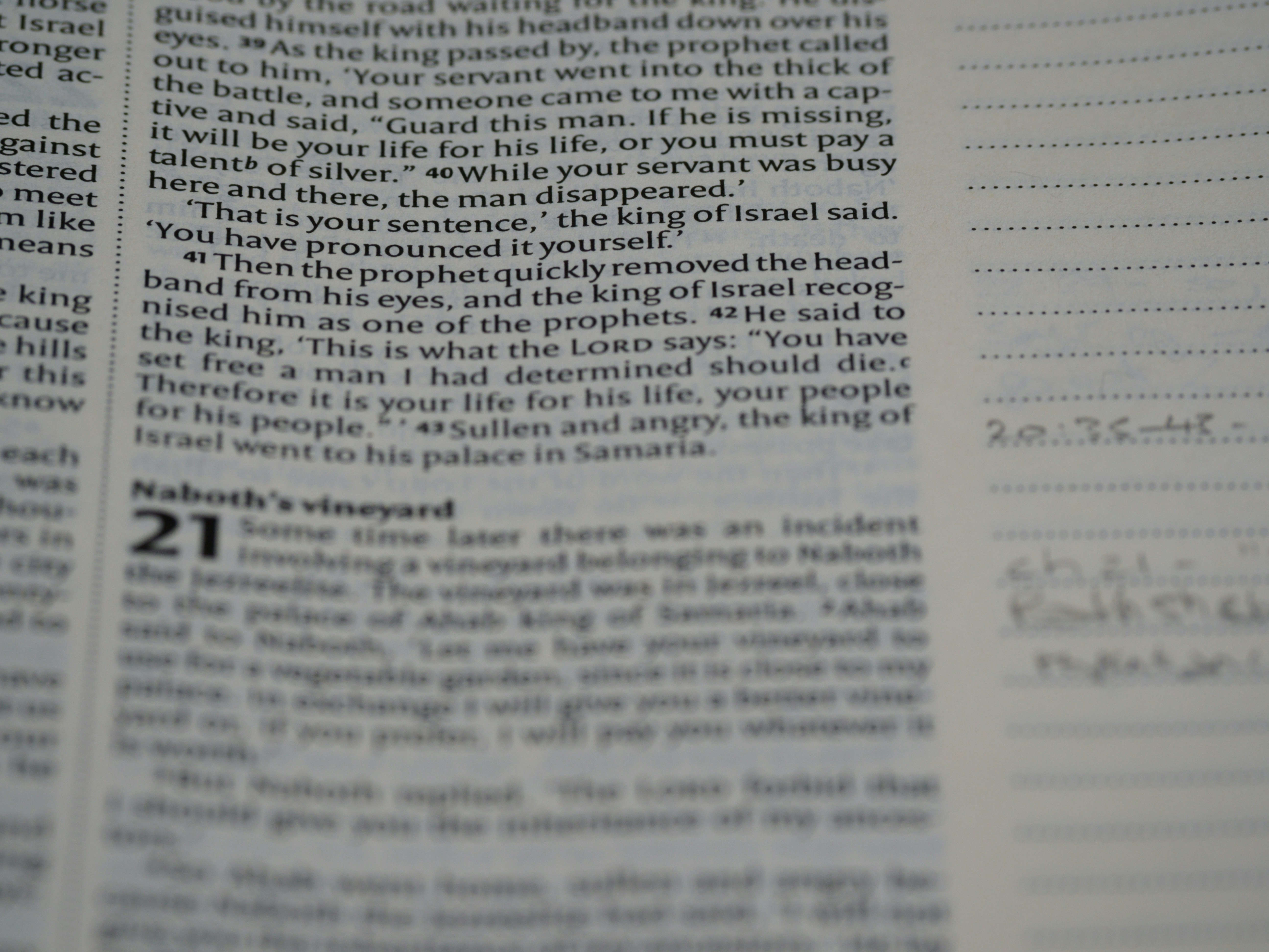 Photo by brett_jordan