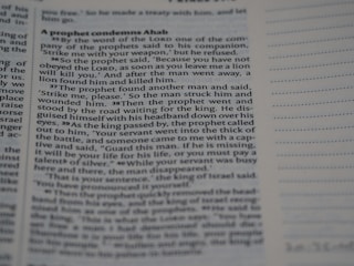 A close-up view of a page from a book, featuring the beginning of a passage focused on a prophet condemning Ahab. The text is printed in black on a cream-colored page with a header and lines for notes on the right. The text is slightly out of focus at the edges.