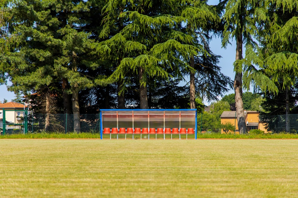 green trees on green grass field during daytime