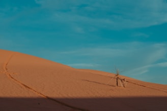 brown sand under blue sky during daytime