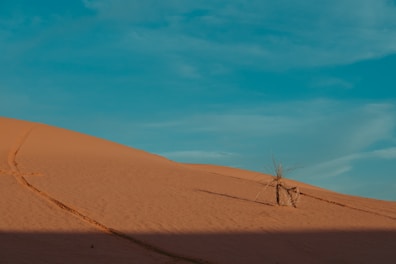 brown sand under blue sky during daytime
