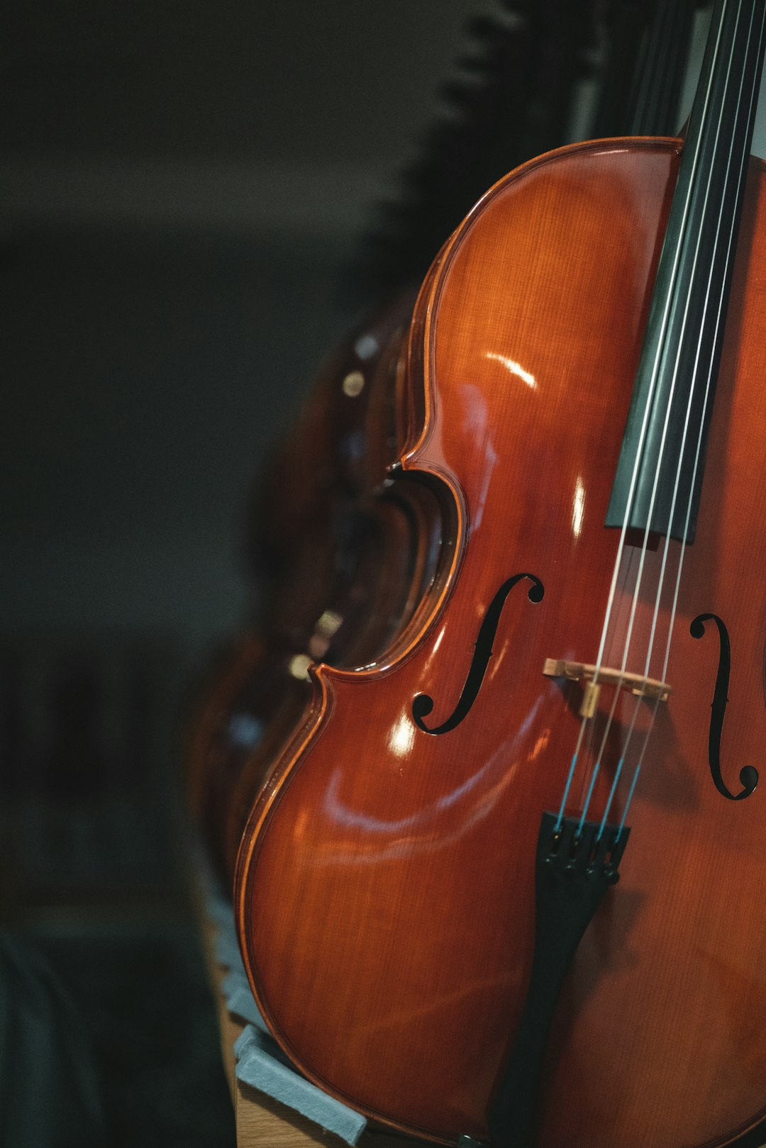 brown violin in close up photography