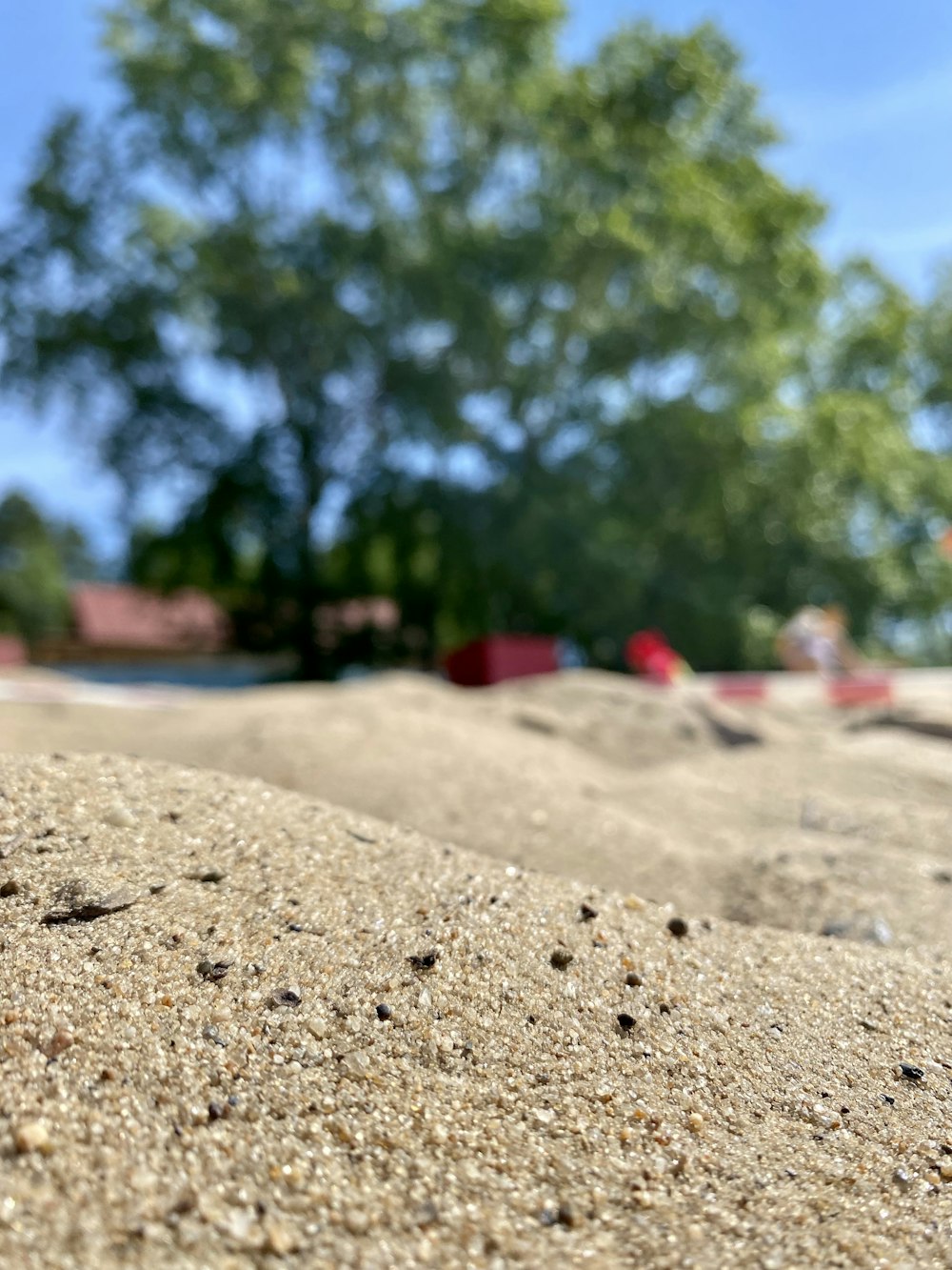 brown sand with green trees in the distance