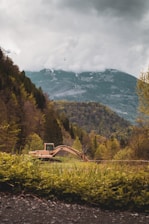brown wooden house on green grass field near green trees and mountains during daytime
