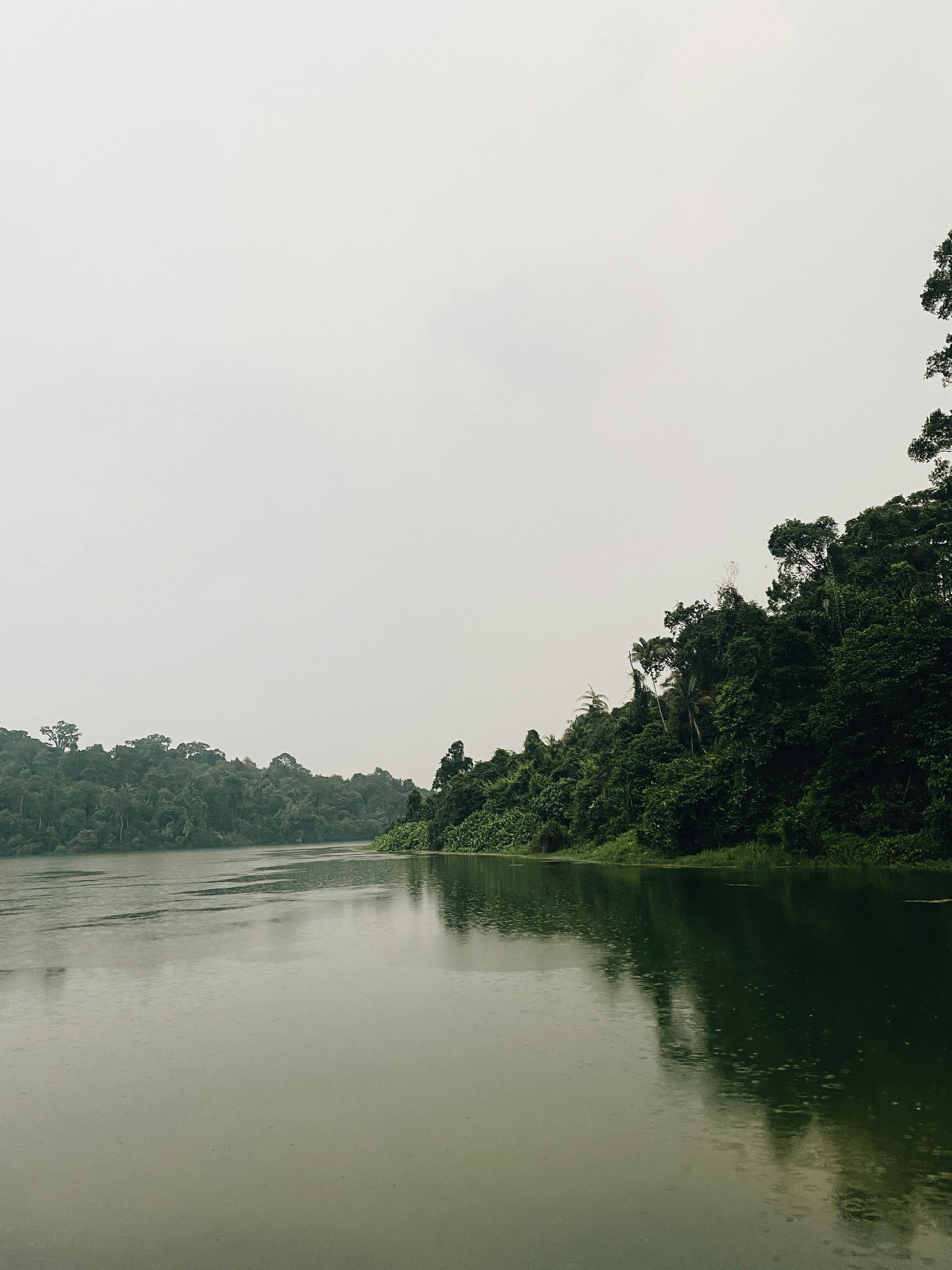 Photo by chuttersnap