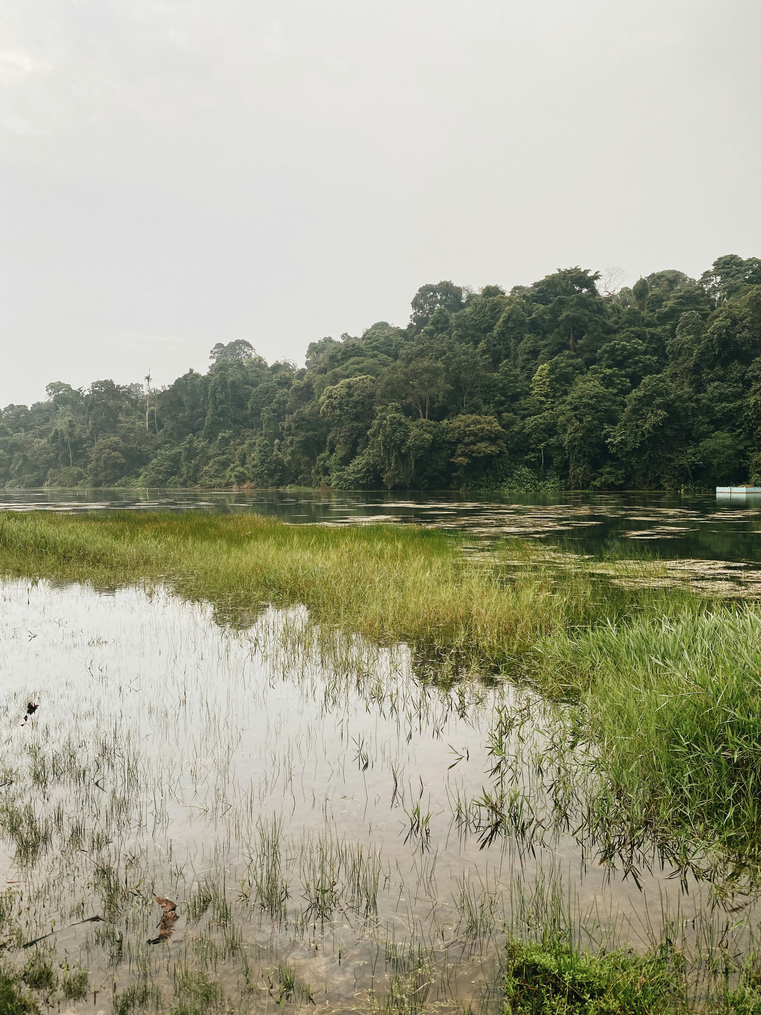 Photo by chuttersnap