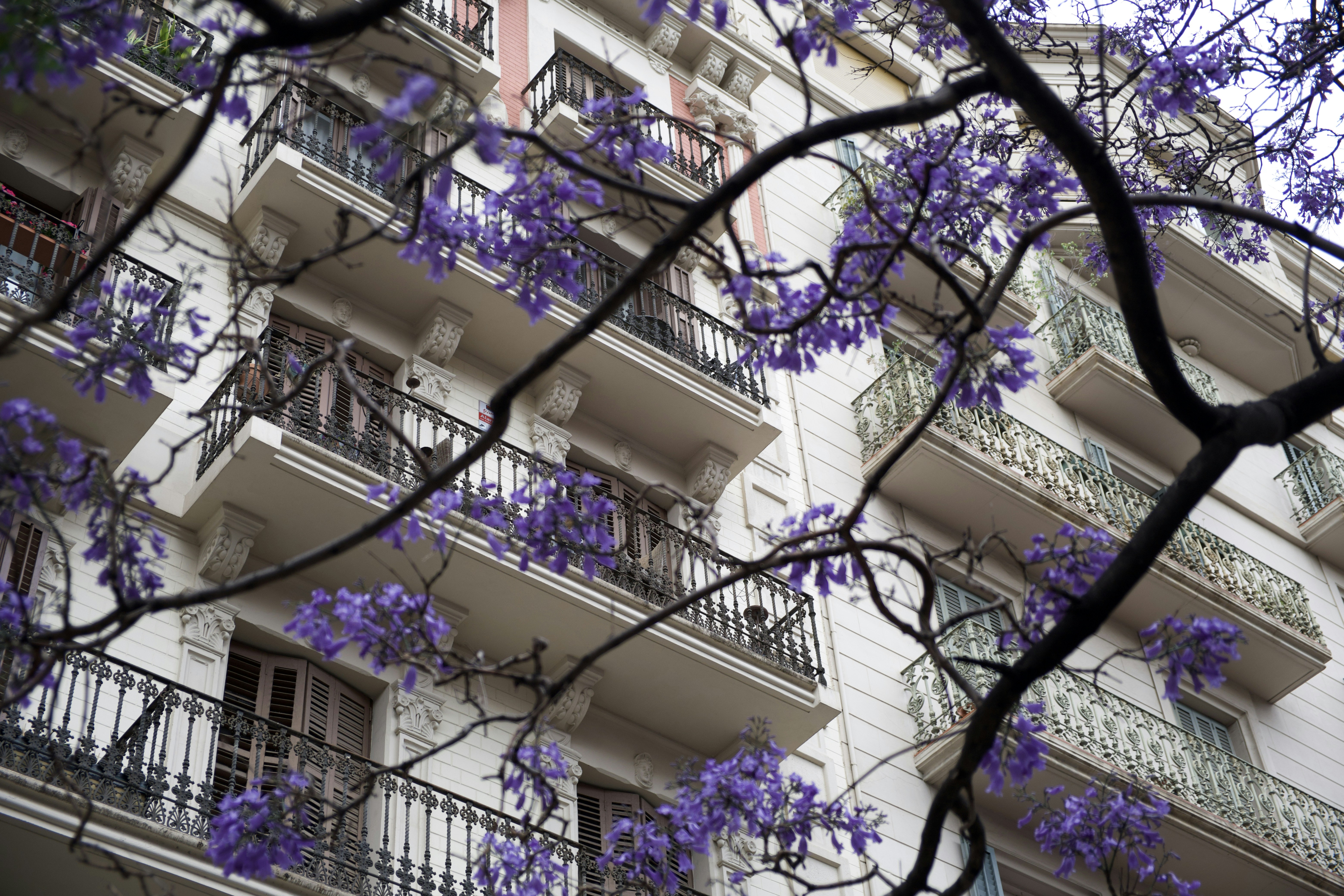 Photo by ruanmartinelli