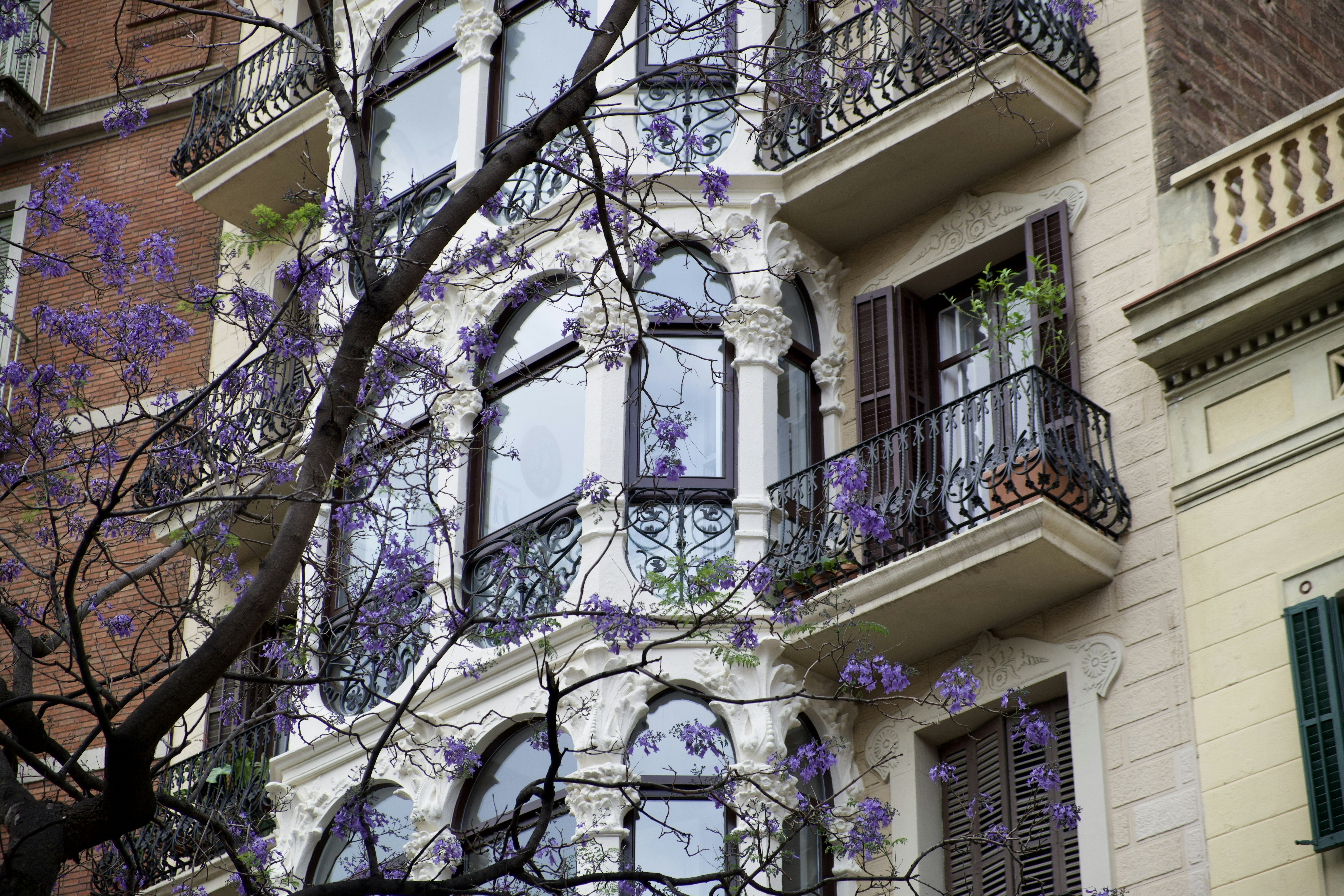 Photo by ruanmartinelli