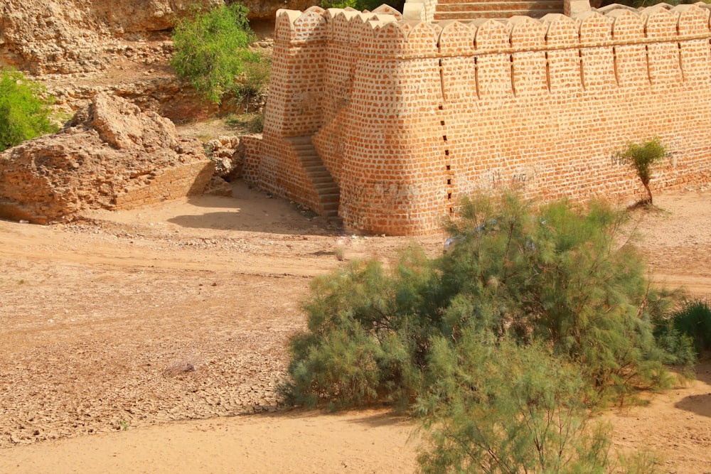 brown concrete blocks near green plants during daytime