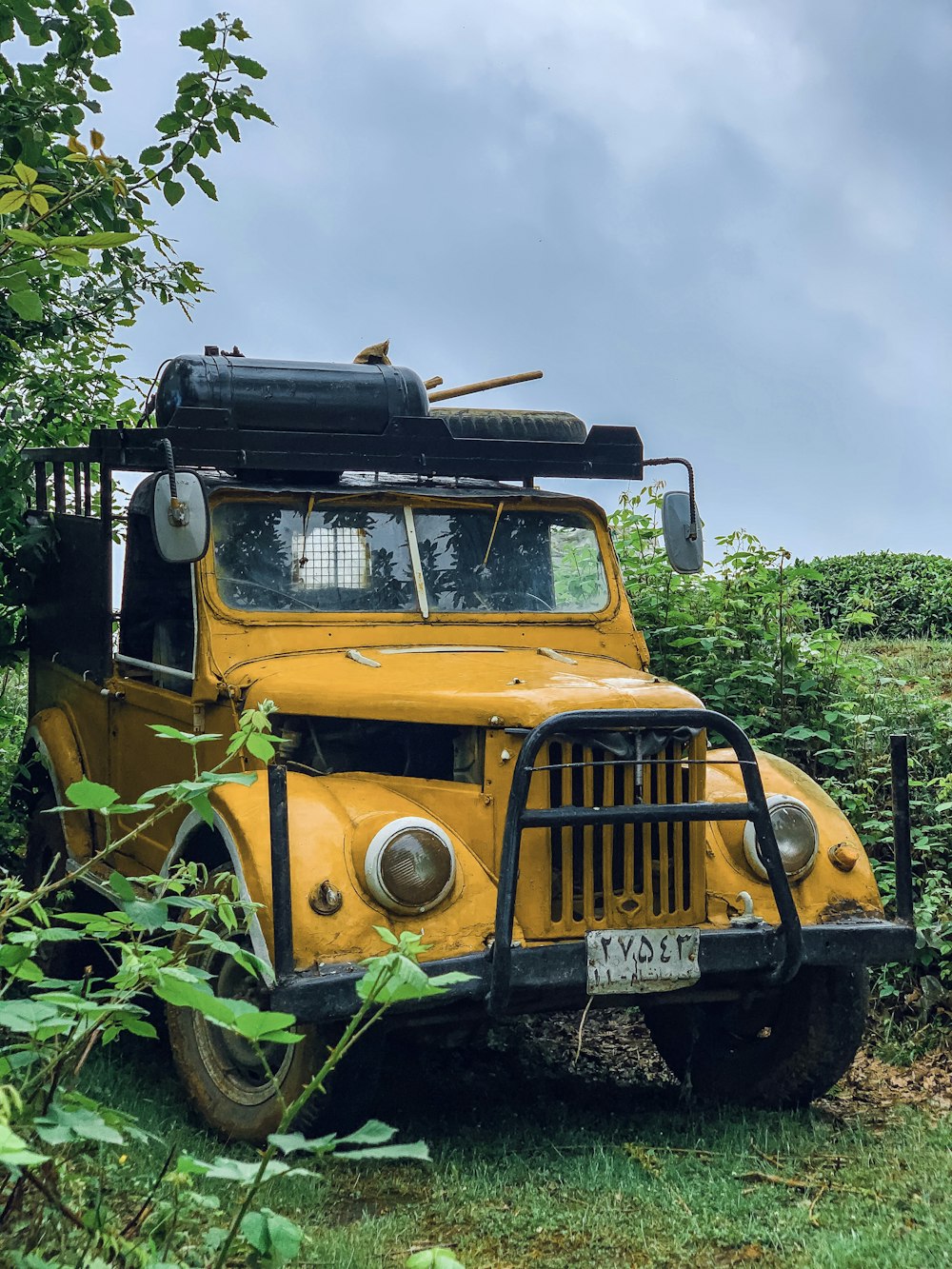 yellow and black truck on green grass field during daytime