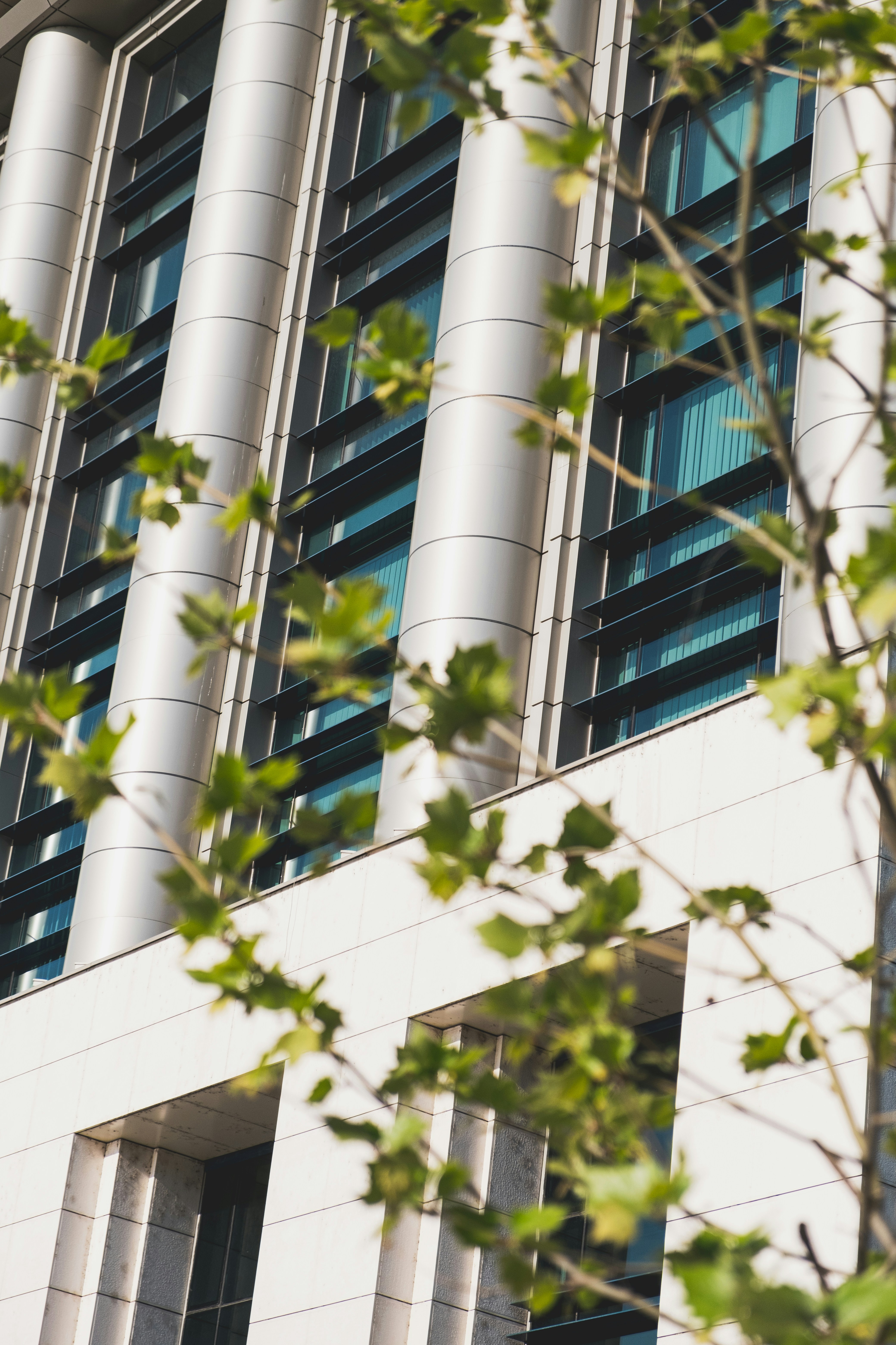 Photo by alexandru_stavrica