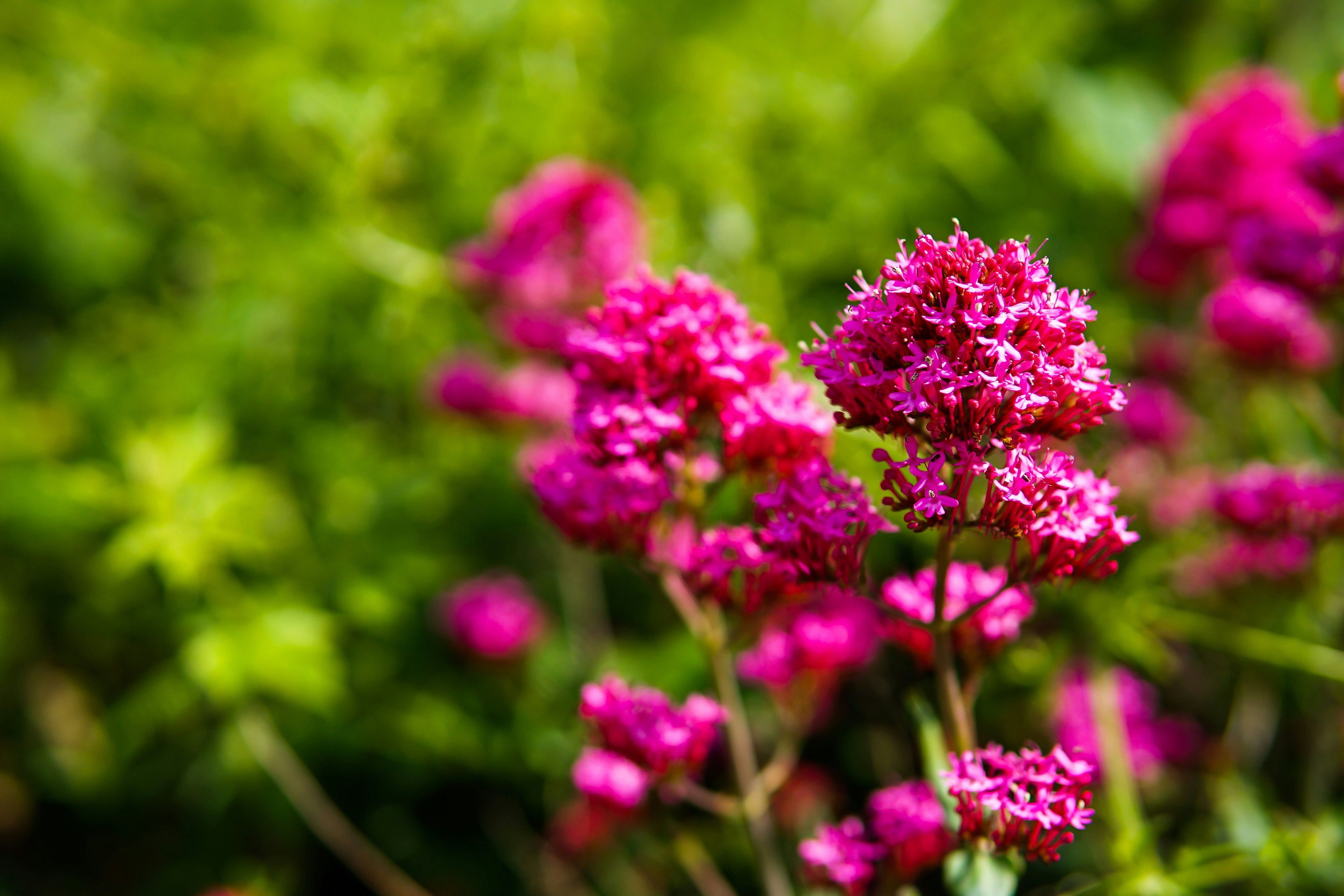 Photo by gricey_visuals