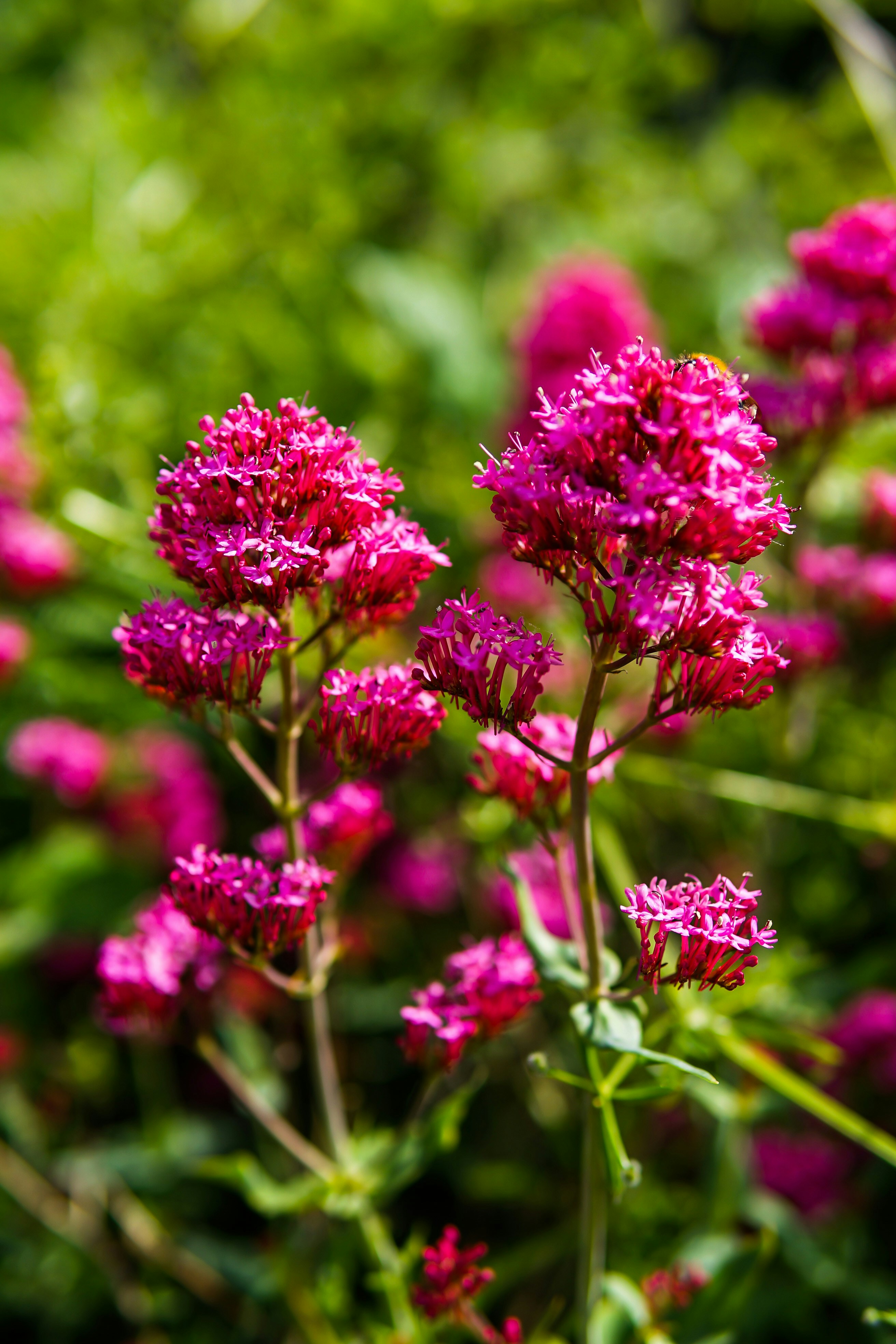 Photo by gricey_visuals