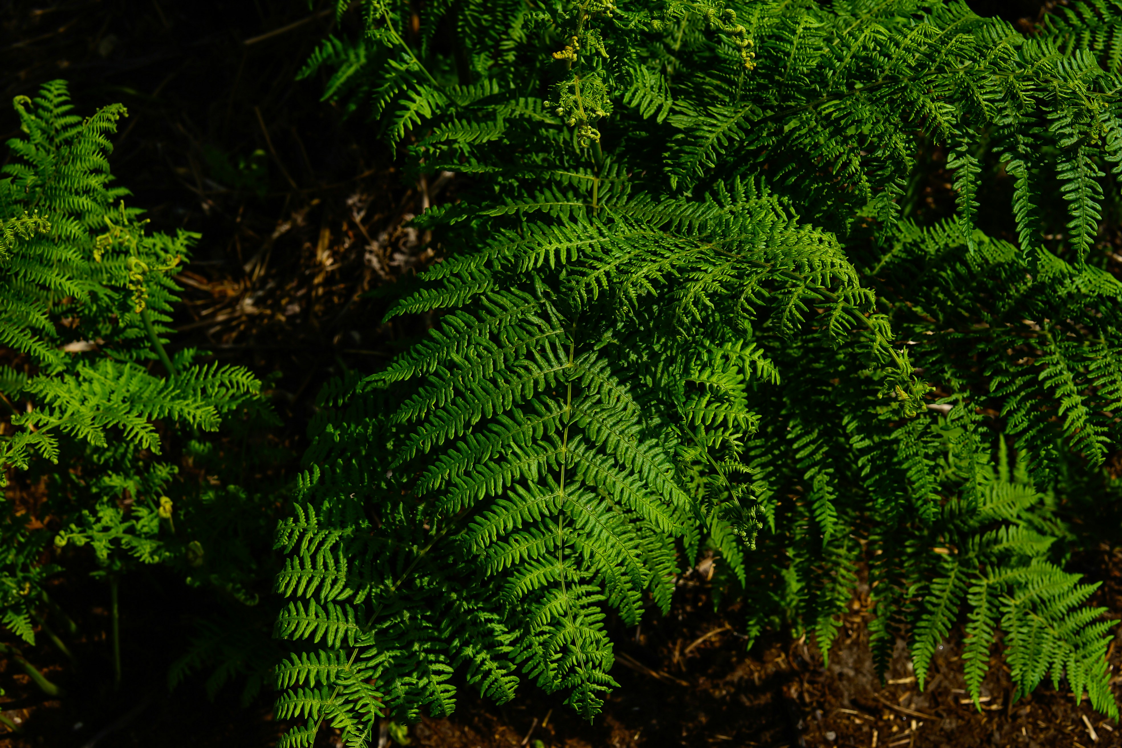 Photo by gricey_visuals