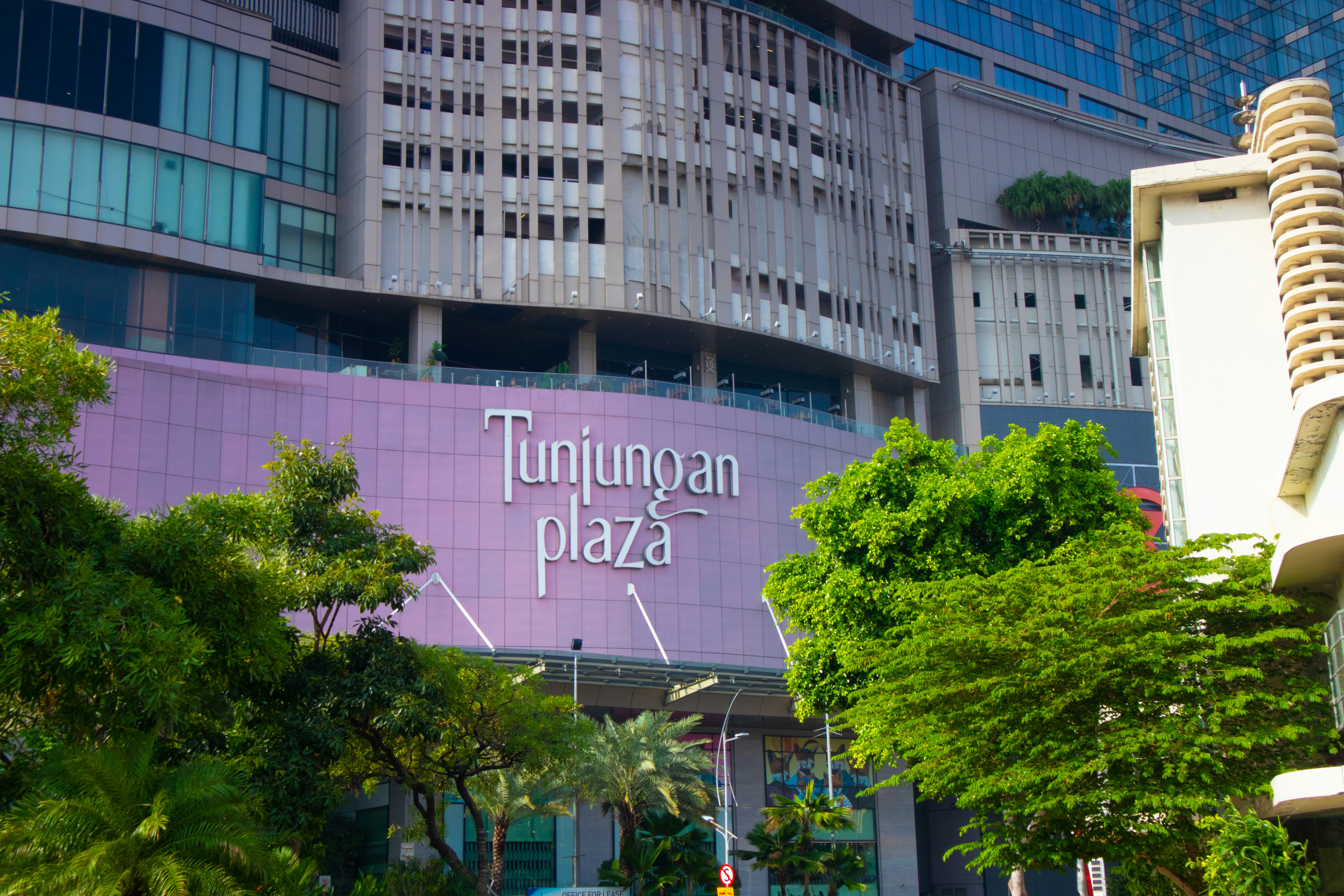green trees beside white concrete building during daytime