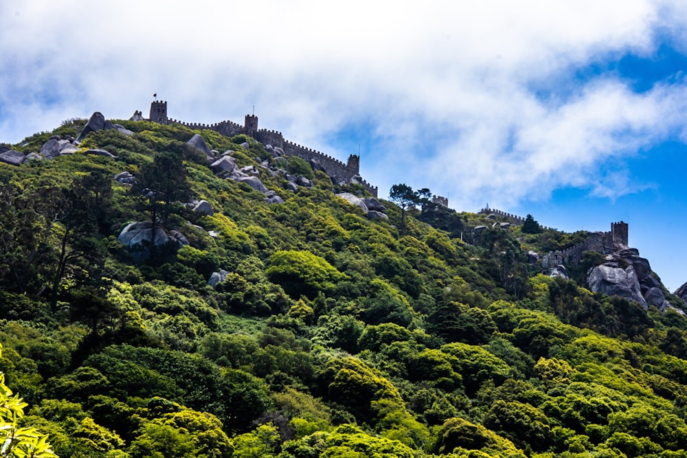 green grass covered mountain under blue sky during daytime