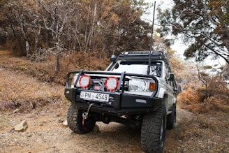 black jeep wrangler on brown field surrounded by trees during daytime