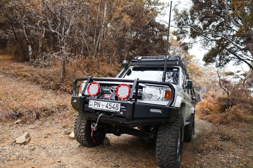 black jeep wrangler on brown field surrounded by trees during daytime