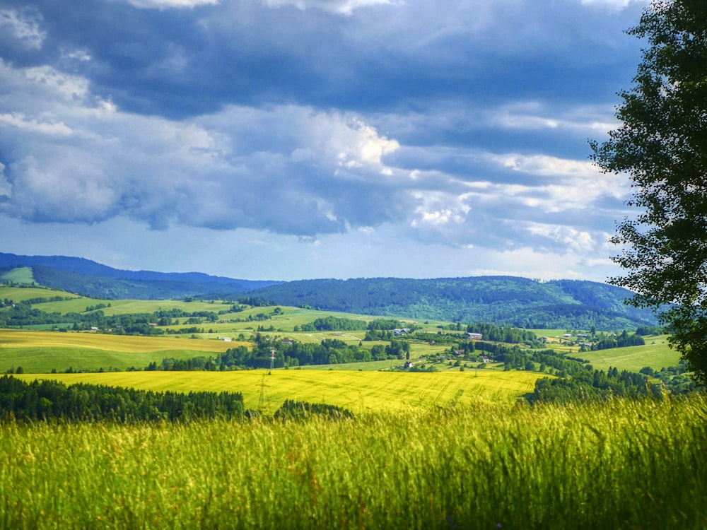 green grass field under white clouds and blue sky during daytime