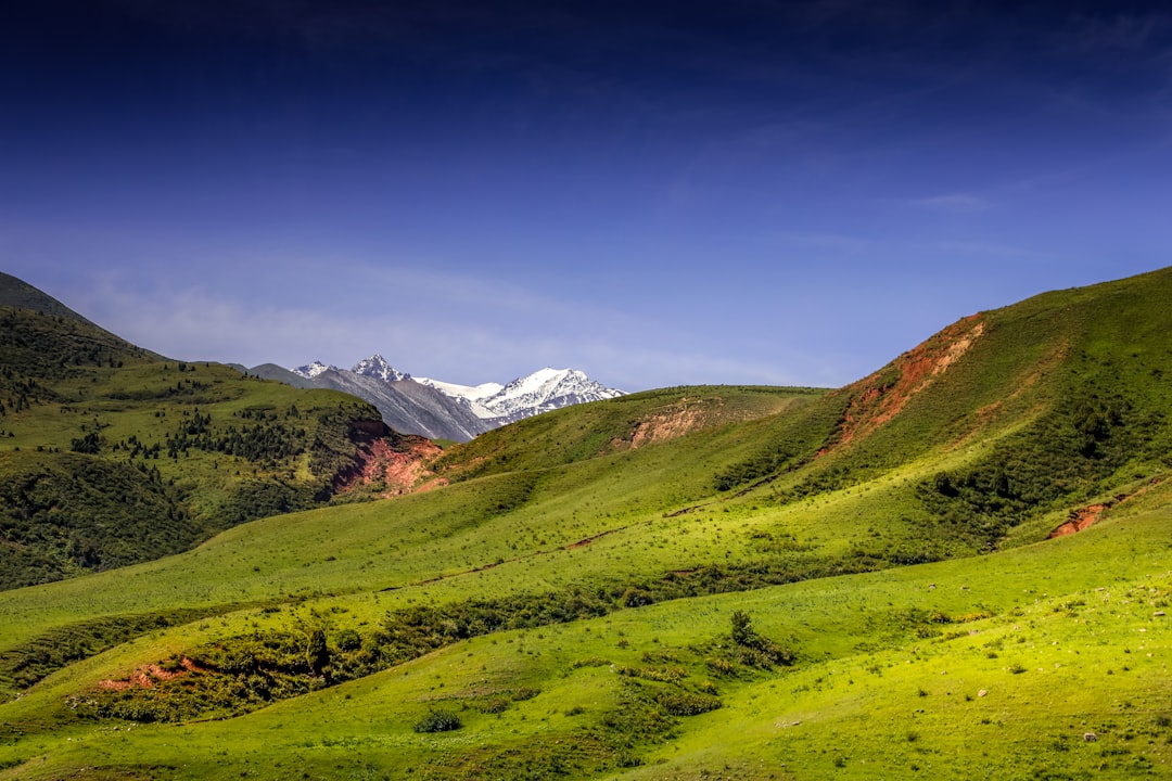 green grass field and mountain under blue sky during daytime