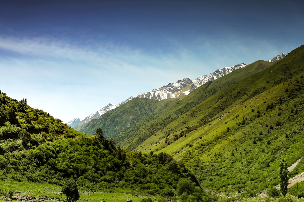 Montañas verdes bajo el cielo azul durante el día