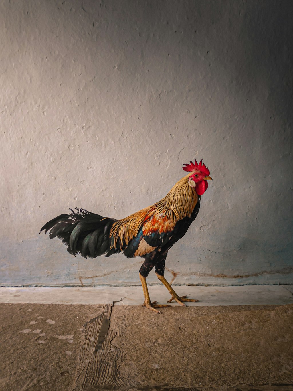 High-Station Cock