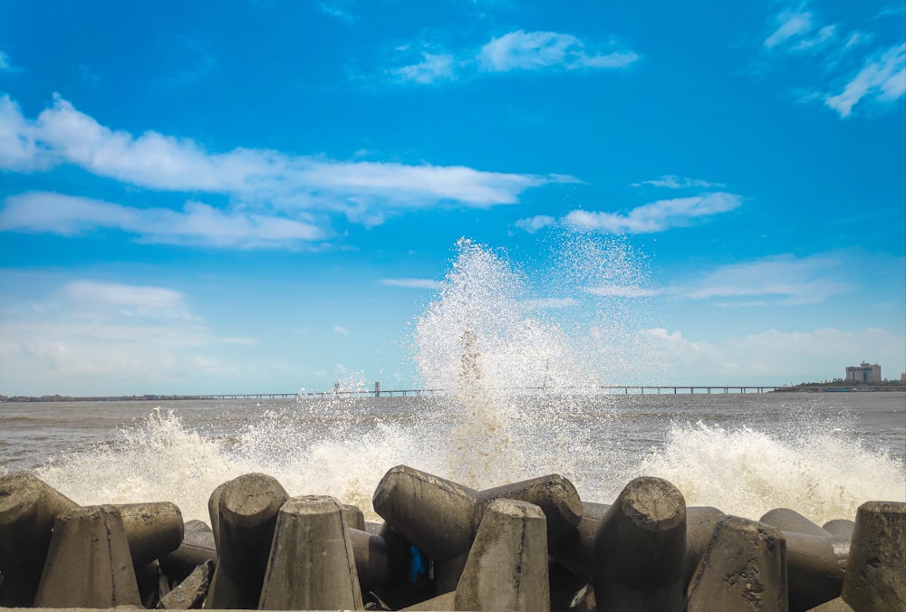 brown wooden logs on seashore under blue sky and white clouds during daytime