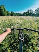 person holding black bicycle handle bar