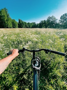 person holding black bicycle handle bar