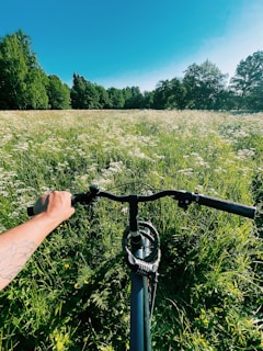 person holding black bicycle handle bar