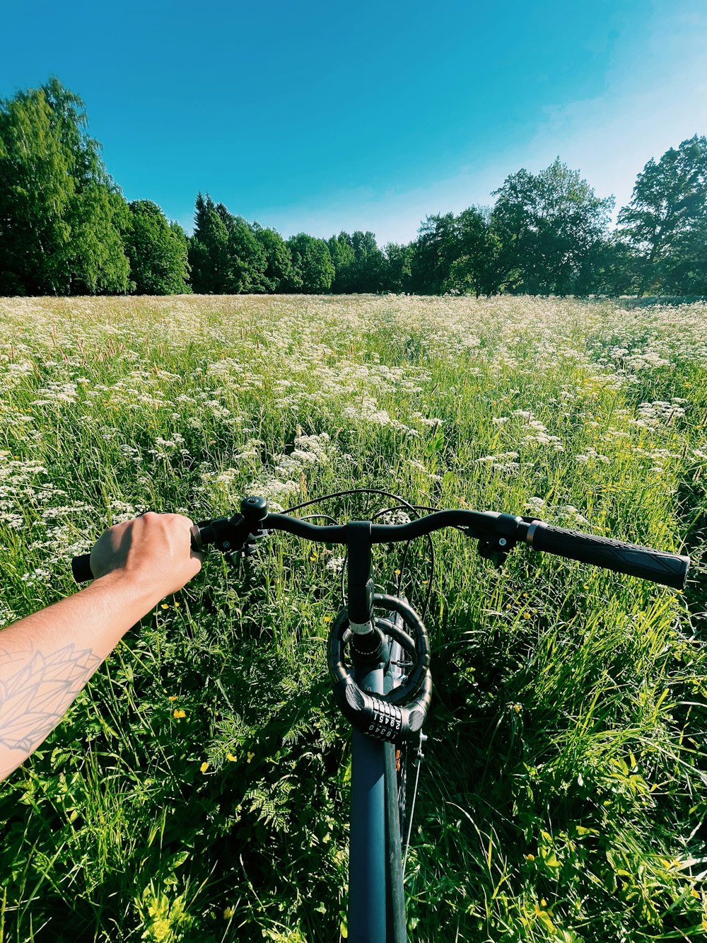 person holding black bicycle handle bar