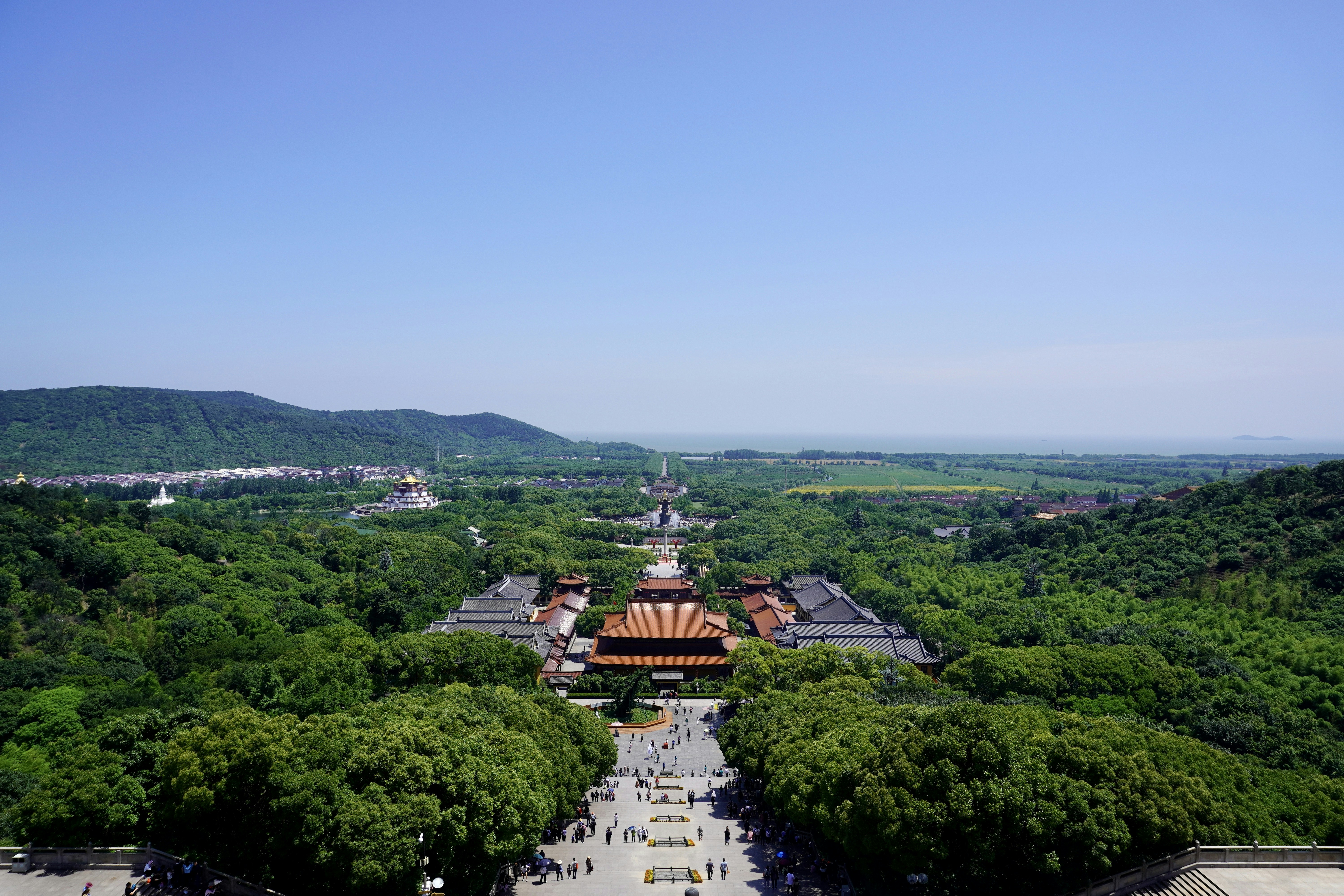 aerial view of green trees and white and brown temple during daytime