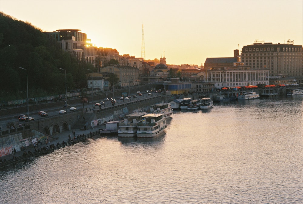 white and black boat on river during daytime