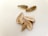 Several sunflower seeds are scattered on a light surface. Some of the seeds are whole, while others are shelled, revealing their inner kernels. The shells are elongated and striped with a mixture of dark and light brown colors.