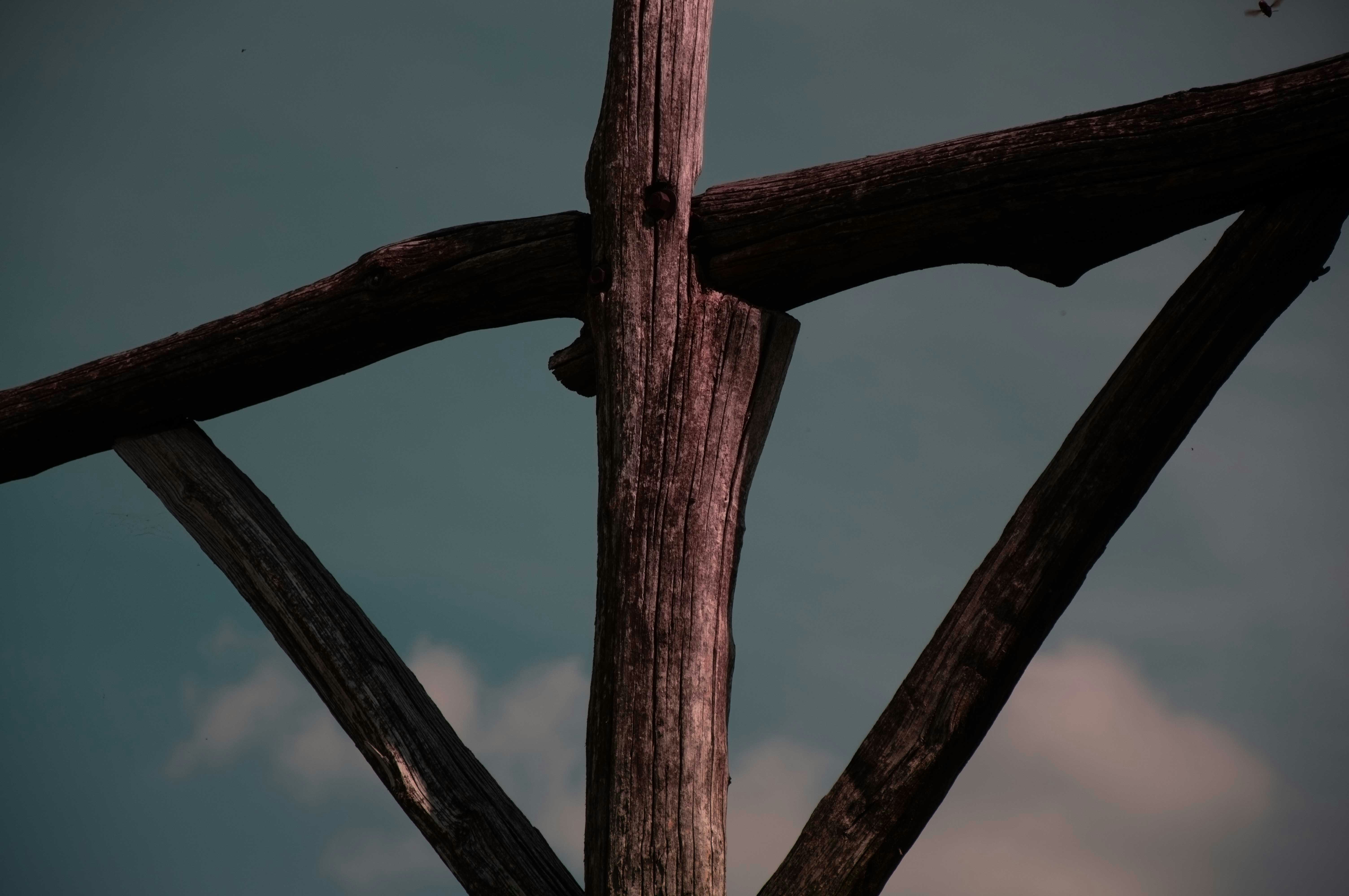 Photo by design_maffeisluca