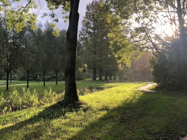 Zonnescherm Zoetermeer