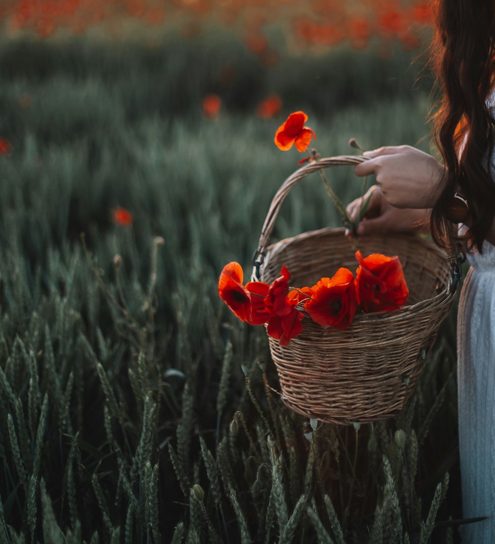 woman in gray sweater holding basket with red flowers