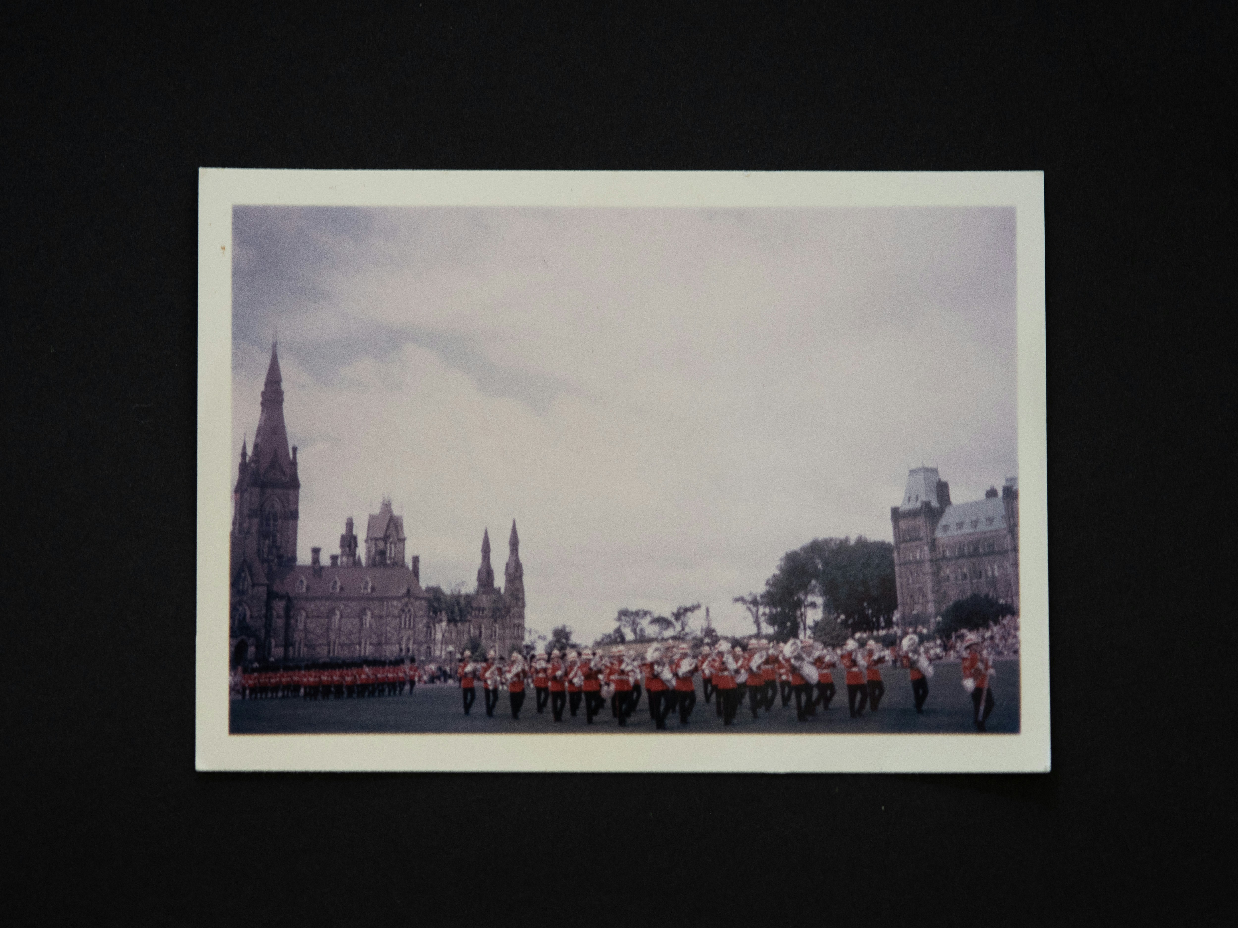 pessoas em pé no campo durante o dia