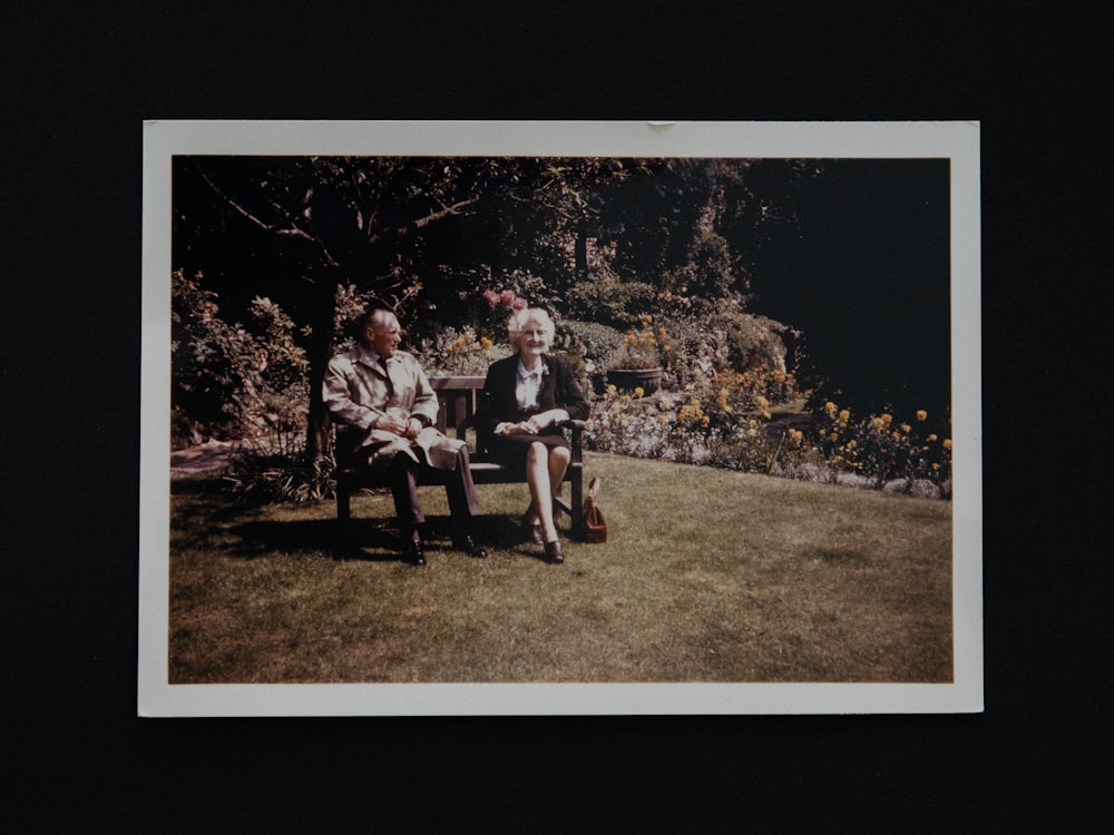昼間、木の近くのベンチに座る男性2人