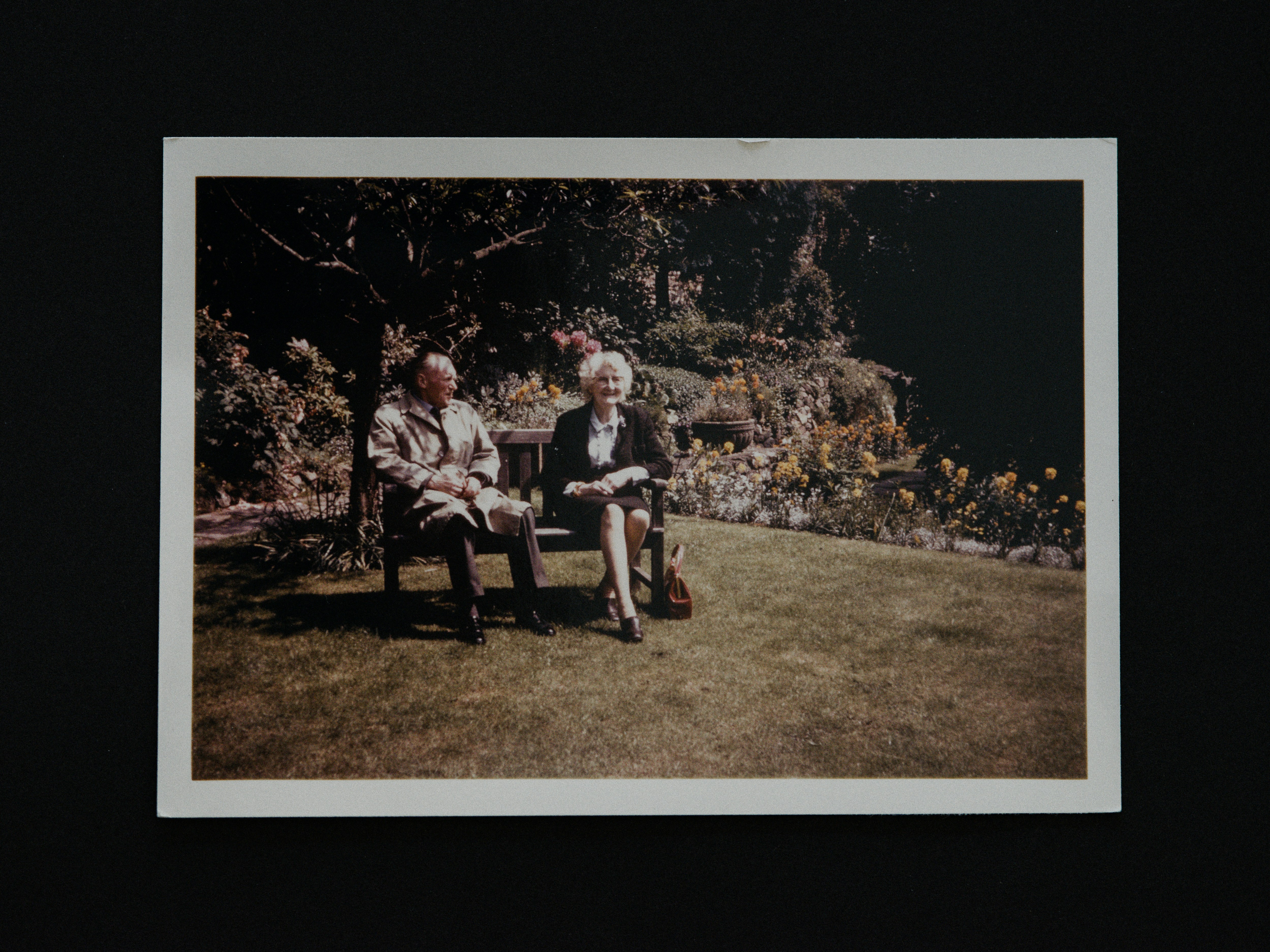 2 men sitting on bench near trees during daytime